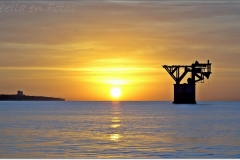 883396_522730624432059_1203904802_o