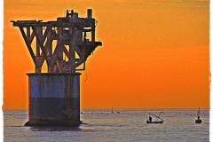 891605_531225856915869_642687838_o