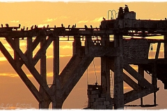 977692_549470865091368_508792357_o