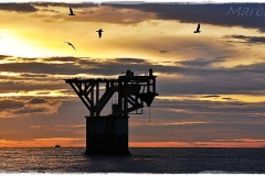 979966_556005397771248_97202612_o