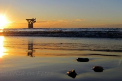 980316_551370671568054_991252351_o