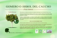 1.-4-gomero-low