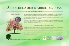 1.-5-arbol-del-amor-low