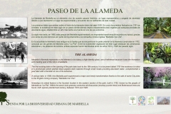 1.1-paseo-de-la-alameda-low