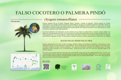 10-CARTELES-arboles-40-x-25-cm-marbella