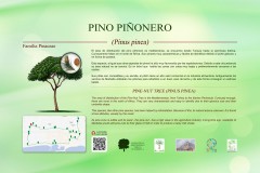 11-CARTELES-arboles-40-x-25-cm-marbella