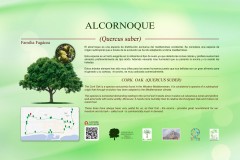 12-CARTELES-arboles-40-x-25-cm-marbella