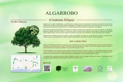 14-CARTELES-arboles-40-x-25-cm-marbella