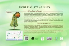 16-CARTELES-arboles-40-x-25-cm-marbella