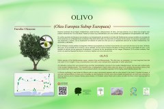 17-CARTELES-arboles-40-x-25-cm-marbella