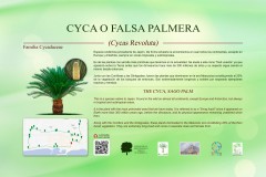 2-CARTELES-arboles-40-x-25-cm-marbella