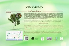 23-CARTELES-arboles-40-x-25-cm-marbella