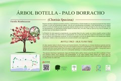 24-CARTELES-arboles-40-x-25-cm-marbella