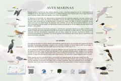 4-CARTELES-aves-70-x-50-CM-marbella