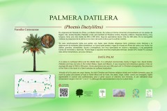 5-CARTELES-arboles-40-x-25-cm-marbella