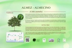 8-CARTELES-arboles-40-x-25-cm-marbella