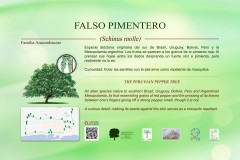 9-CARTELES-arboles-40-x-25-cm-marbella