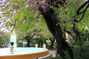 Arboles en la Fuente Alameda