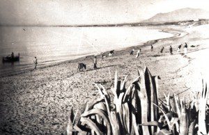 Playa de Nagüeles - 1950-60 - Tirando del copo R