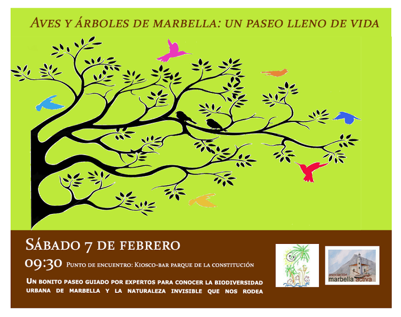 cartel paseo aves+arboles